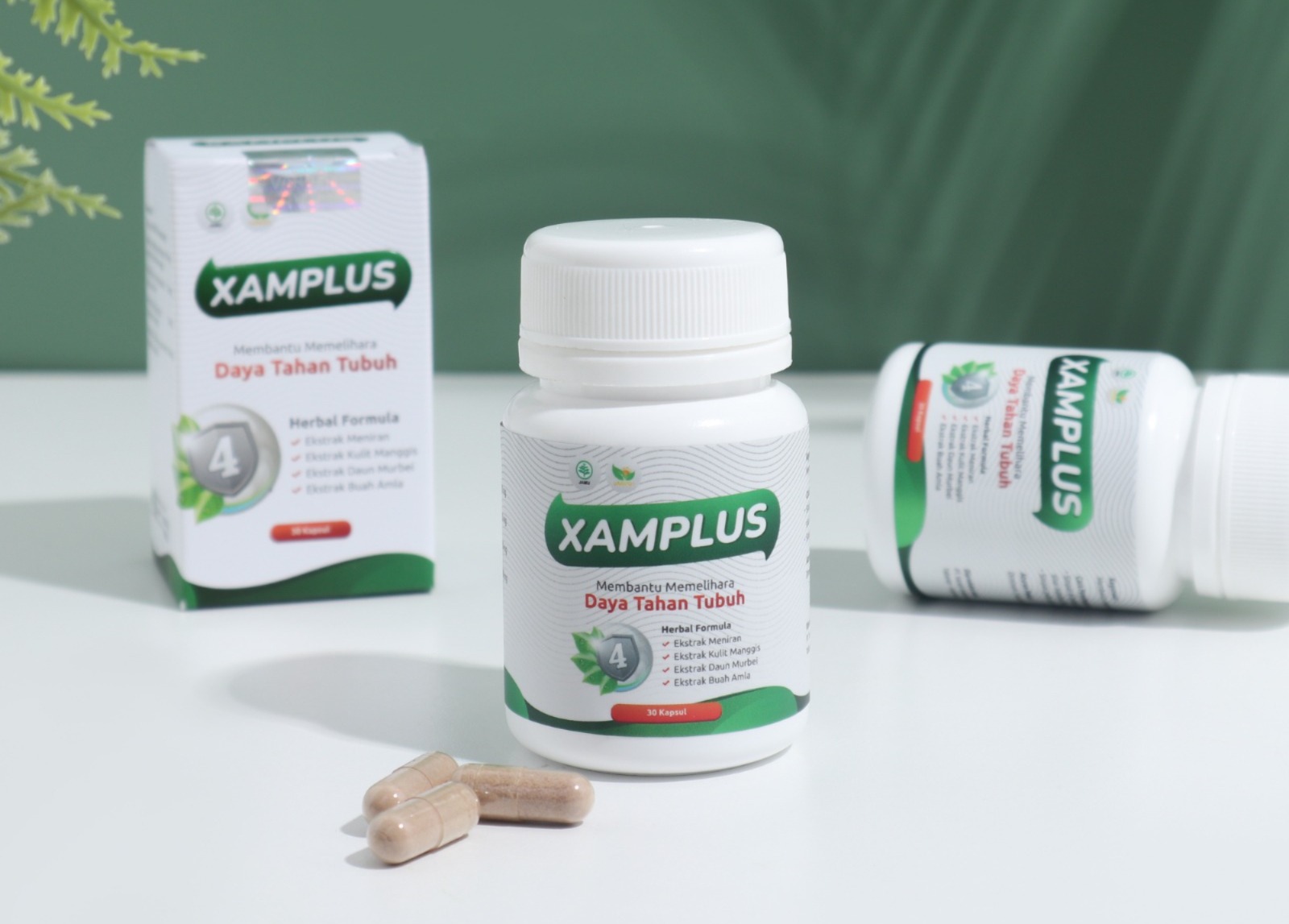 Jaga Kolesterol dan Imun Tubuh dalam Satu Langkah: Xamplus Solusinya
